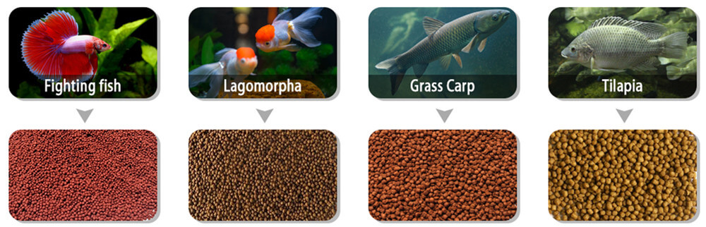 wet_typefloating_fish_feed_machine_supplier