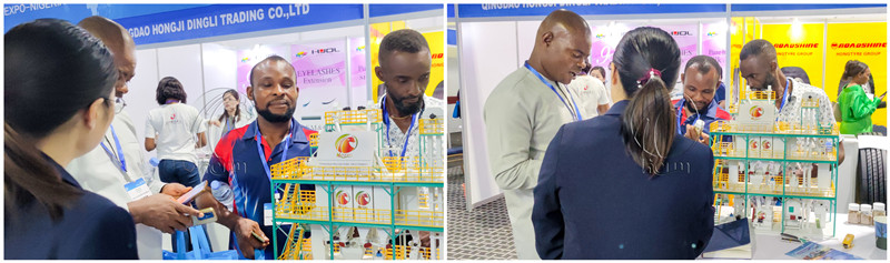 herm_exhibition_nigeria (1)