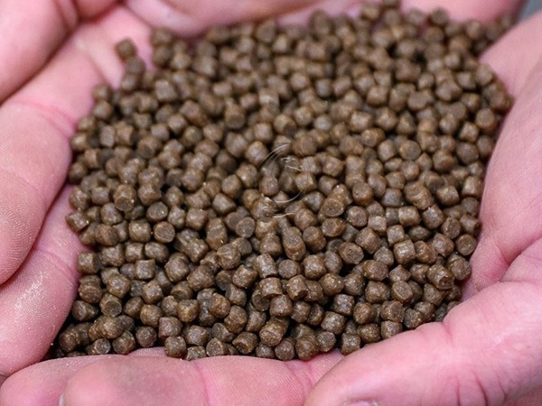 Poignee_De_Petits_Granules_D_Aliments_Aquatiques