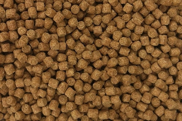 Gros_Plan_De_Granules_Bruns_D_Aliments_Flottants_Pour_Poissons