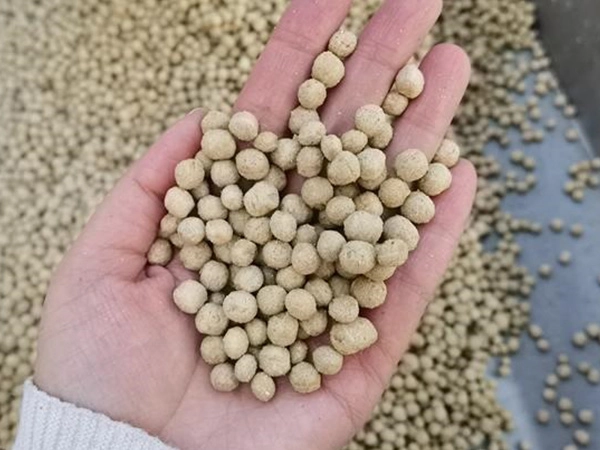 Poignee_De_Granules_Clairs_D_Aliments_Flottants_Pour_Poissons